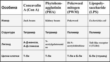Negovite ednojadreni kletki od krvta voop{to ne reagirale kon fithemaglutinin, konkavalin A, i pokvid mitogen, kako ni kon specifi~nite protivgeni kon koi bil prethodno izlo`en so imunizacijata kon