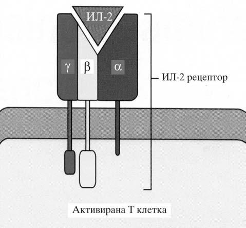 Dolgotrajno ka{lawe e obi~no znak za infekcija so Pneumocystis carinii. Tretiot naj~est simptom na TKIN e dijarea otporna na le~ewe, naj~esto predizvikana od enteropatski koliformni bakterii.