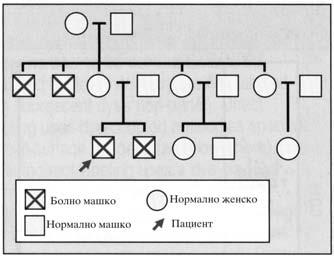 Spiroski M i sorabotnici. ANALIZA NA SLU^AI OD IMUNOLOGIJA Frakcijata III sodr`i beta globulini vklu~uvaj}i IgA i IgM, frakcijata IV alfa globulini i frakcijata V albumin.