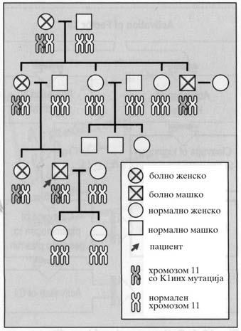 Spiroski M i sorabotnici. ANALIZA NA SLU^AI OD IMUNOLOGIJA Slika 7.6: Nasleduvaweto na HAE vo familijata na Ratko. hromozomot ili ne) HAE?