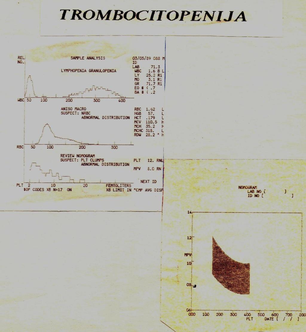 Naša povijest do 1985.
