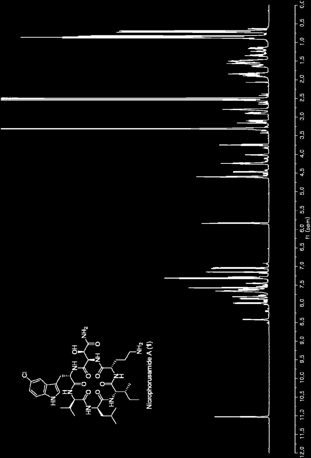 nicrophorusamide A