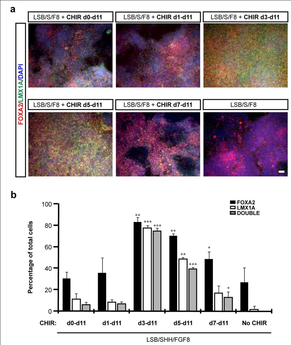 doi:10.1038/nature10648 Supplementary Figure 1: Timing of CHIR99021 exposure determines induction of FOXA2/LMX1A midbrain floor plate precursors.