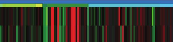 migration 7 SM00097:WNT1 8 GO:0021543~pallium development 9 GO:0021761~limbic system development10 GO:0021537~telencephalon development11 domain:egf-like 4; calcium-binding12 4 5 6 7 8 9 10 11 12