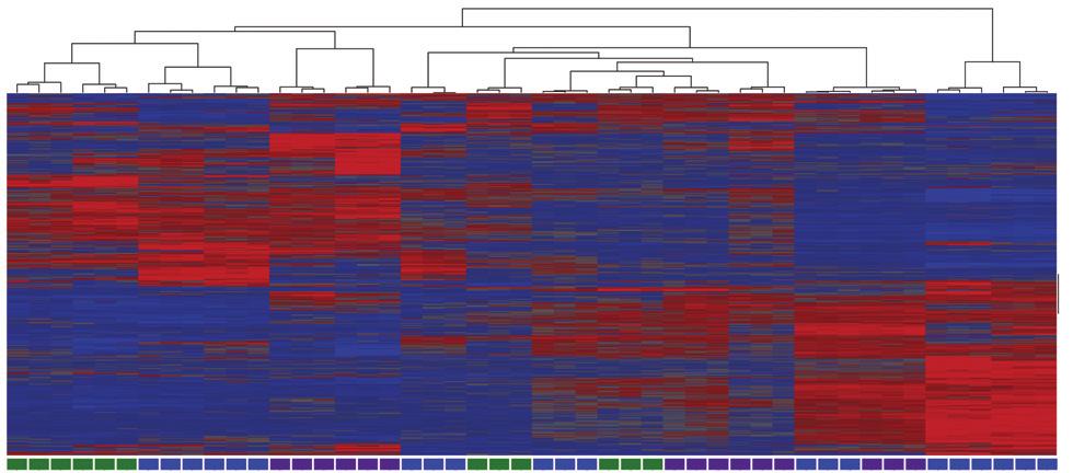 GO:0048666~neuron development 8 GO:0048812~neuron projection morphogenesis 9 2 3 4 5 6 7 8 9 IPR012287:Homeodomain-related 10 10 D25 LSB/S/F8/CHIR vs LSB/S/F8 0-2 - 4-6 - 8 0 2 4 6 GO:0048663~neuron