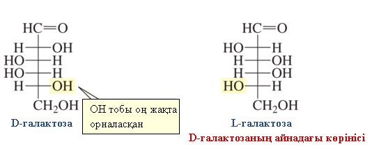 Он тоғызыншы ғасырдың соңында Эмиль Фишер мен оның қызметтестері қосылыстардың конфигурациясын анықтау əдістері қол жетімді болмаған кезде көмірсуларды зерттеген.