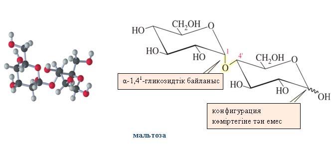 15.13 ДИСАХАРИДТЕР Егер моносахаридтердің ацеталінің жартылай ацетальді тобы екінші моносахаридтің спирттік тобымен реакциясынан түзілетін гликозид дисахарид болады.