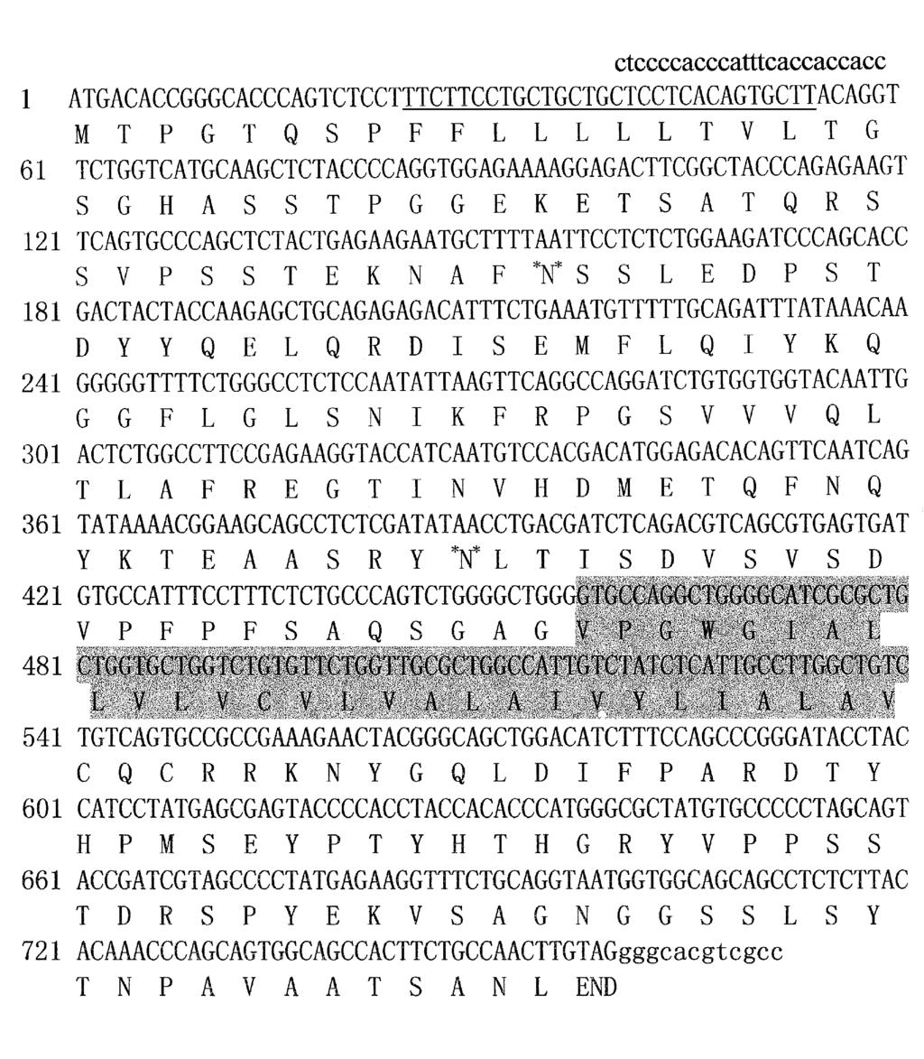 582 17 Fig 3 Nucleotide sequence of cloned HeLa MUC1ΠY cdna Signal peptide is underlined and transmembrane region is marked