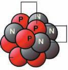 الكتلة\ g الجدول 3-5 كتلة وشحنة ورموز مكونات الذرة الجسيم رمزه نوع الشحنة 9.11 10-28 -1 االلكترون - e 1.672 10-24 +1 البروتون + p 1.