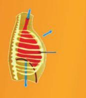 T 1 فانه P 2 مع االحتفاظ بدرجة الحرارة ثابتة حجمه V وضغط 2 طبقا لقانون بويل يصح ان نقول P 1 V 1 = P 2 V 2 )عند ثبوت الحرارة وكمية الغاز( مثال - 2 4 : ضغط غاز في صفيحة معطر جو