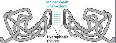 interakcije Jačina veza: kovalentne veze jonske veze vodonične