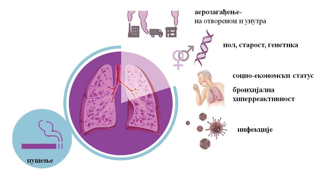 1. УВОД Хронична опструктивна болест плућа (ХОБП) је често обољење које карактерише перзистентно и обично прогресивно ограничење протока ваздуха у дисајним путевима.