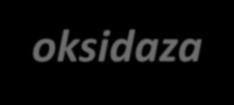 Kompleks IV Citohrom c do O2 Citohrom oksidaza Prenosi