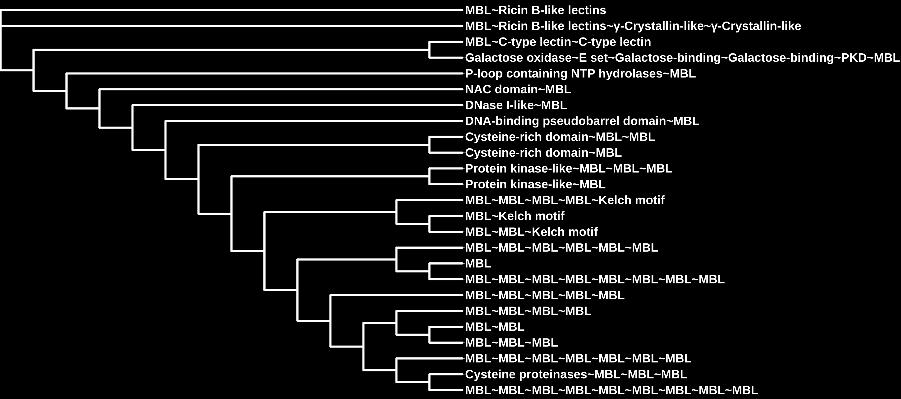 Eubacteria Eubacteria and Viridiplantae Supplementary Figure 2: The
