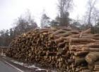 Biomasės ištekliai Biomasė iš medžio Malkinė mediena 3.218.000 m 3 arba 565.
