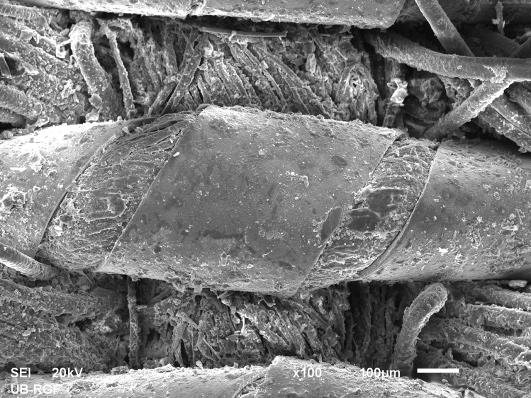 276 РИСТИЋ и други е ф г х Слика 6. Зона 5, Nd-Yag ласер, λ=1064 nm Φ=55 mj/cm2, n=400 импулса Табела 3.