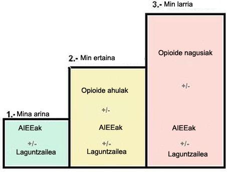 ERANTZUNAK 1.- Zergatik gehitu zion medikuak kodeina ibuprofenoari? Azaldu OMEk finkatutako eskailera terapeutikoa.