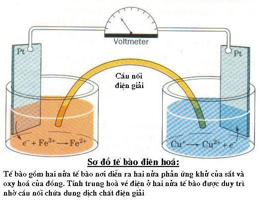 Phƣơng