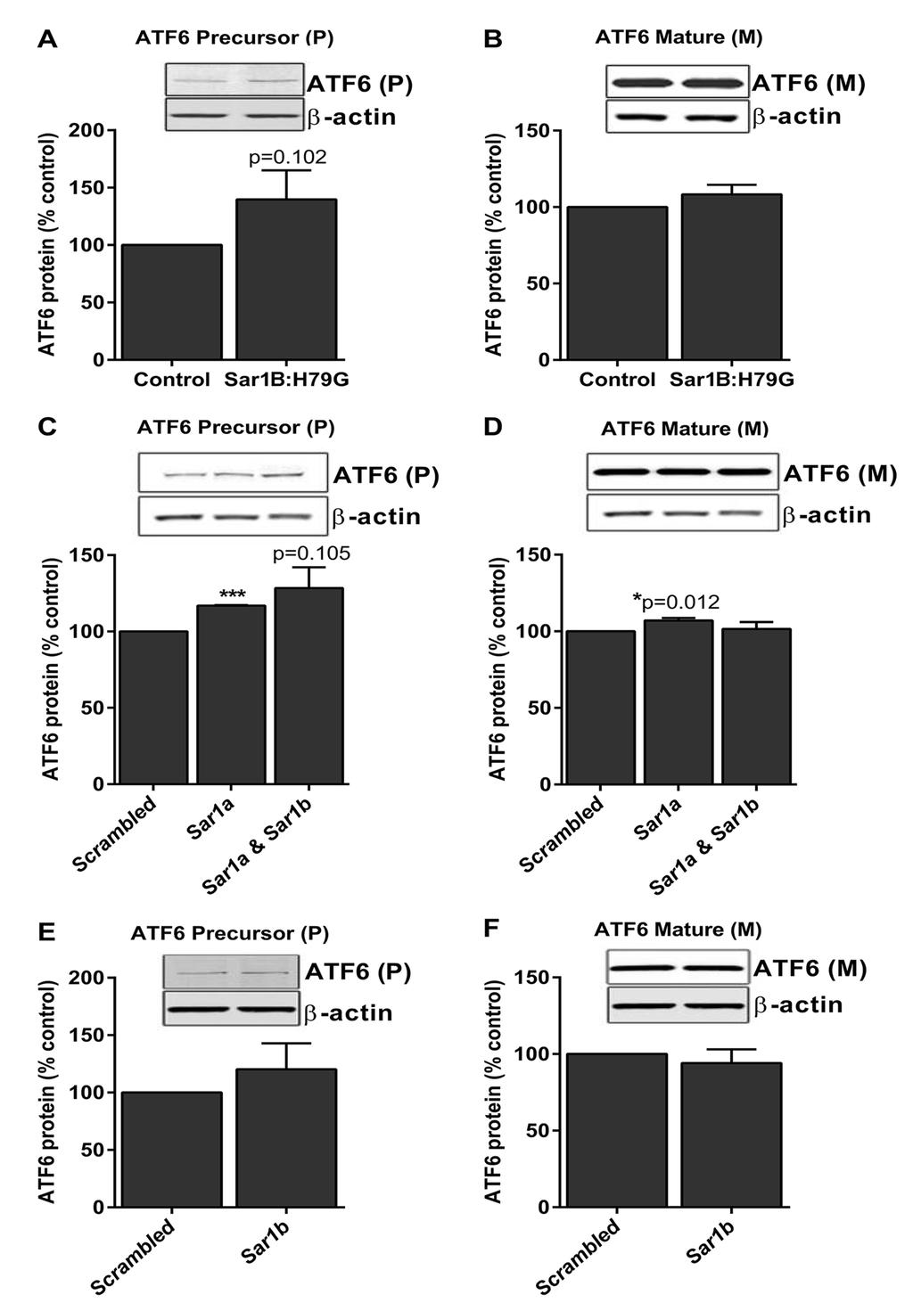 Figure S3 Sar1B-mediated