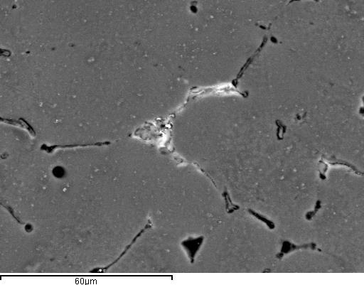 SEM микрофотографије