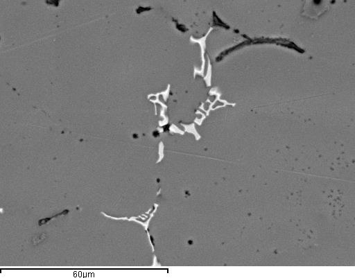 SEM микрофотографије