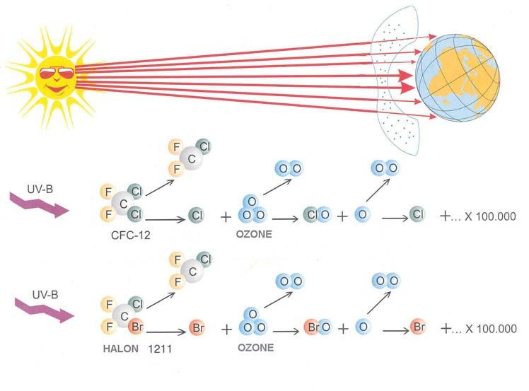 Mehanizam na uni{tuvawe Vo ramkite na Montrealskiot protokol identifikuvani se golem broj na supstancii koi ja osiroma{uvaat ozonskata obvivka (ODSs-Ozone Depleting Substances) ~ie proizvodstvo i