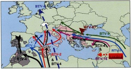 ια ι ή σ α α οϊ ός οβά & ασία