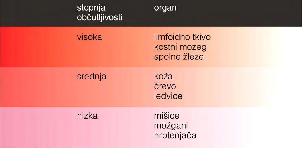 Razvrstitev organov