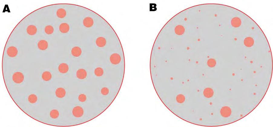 Test klonogenosti celic Delež preživelih celic = Število kolonij / Število nasajenih celic x (PE/100) Reprodukcijska integriteta vs. reprodukcijska smrt celic.