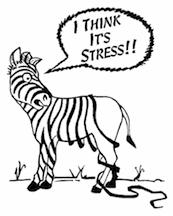 Stress ir nespecifiska organisma atbildes reakcija uz jebkuru tam izvirzītu