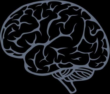 Psihosociālais stress, CNS aktivitāte Eferentā NS Kateholamīni Teorētiskais modelis Kortikotropīns ACTH, kortizols Akūtās stresa reakcijas Aknas Makrofāgi Hroniska hipokampālā atrofija Imunodeficits