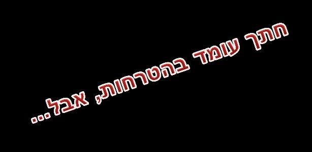Moment [kn-m] Moment [kn-m] שלב ב'-מודל לא ליניארי )חישוב חתכים ותכונות לא ליניאריות(-קירות יש חשיבות באיתור יחסי ההטרחה בכל רכיב לצורך תכנון נכון.