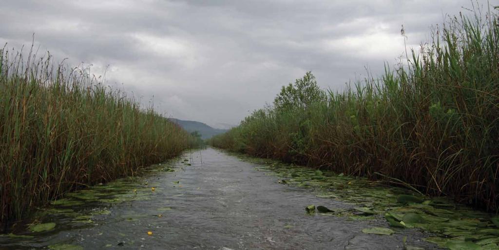 Hutovo blato, jedinstvena submediteranska močvara, smještena je u tipičnom kraškom ambijentu na jugu Hercegovine.