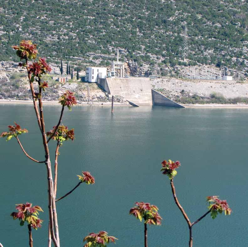 sliva rijeke Trebišnjice, sazrela je ideja da se što bolje iskoriste sve vode sliva, uzimajući u obzir, pored energetike, potrebe vodoprivrede i poljoprivrede.