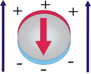 Plasa oscillation ensity fluctuation of free electrons - - - - Bul lasons Plasons in the bul oscillate at eterine by the free electron ensity an effective ass Surface lason olaritons Plasons confine