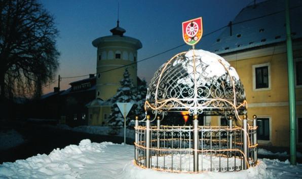 javni zavodi društva