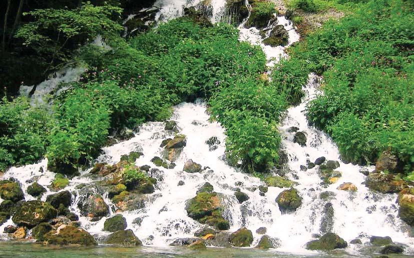 Dajem se, Kriste Kriste, izvore života mog, Dajem ti sebe i život svoj. Dajem ti svu svoju sudbinu, Da upoznam jedinu i pravu istinu.