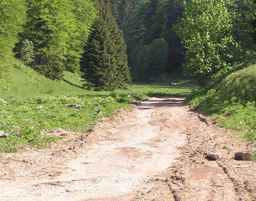 Slide 55 Slide 56 Izgradnja nasipa Izgradnja nasipa S obzirom na materijal od kojega se nasip izvodi razlikujemo slijedeće tehnologije izgradnje nasipa: izrada nasipa od zemljanih materijala, izrada