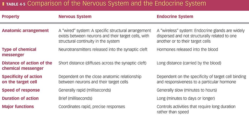 ендокрино The nervous system is wired, and the endocrine system is wireless (Невроендокрин систем