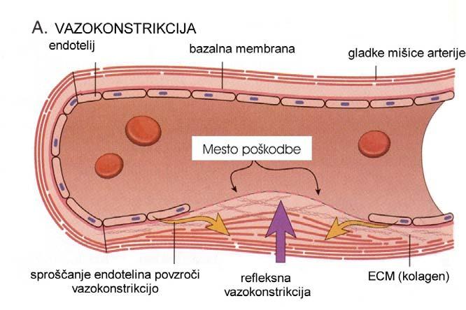 Slika 2: Mehanizem