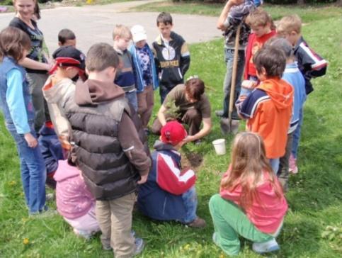 C Stromy poznania V spolupráci s MŠ a Lesmi SR sme už po tretíkrát pripravili akciu Stromy poznania. V rámci nej je pri našej škole vysadené miniatúrne arborétum.