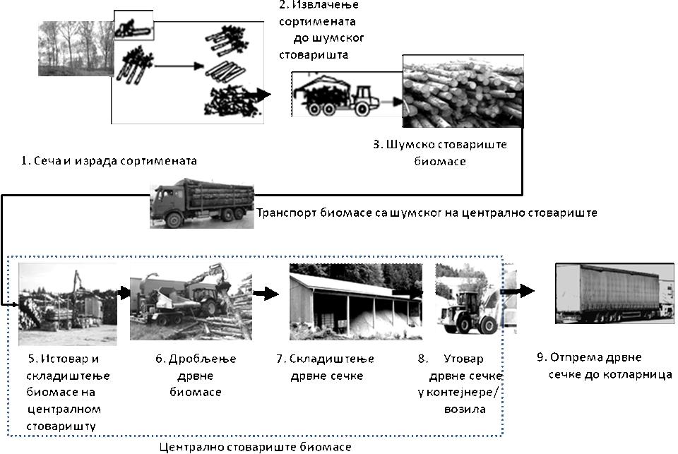 Слика 19. Модел коришћења дрвне биомасе у РБ Колубара са основним фазама 7.2.