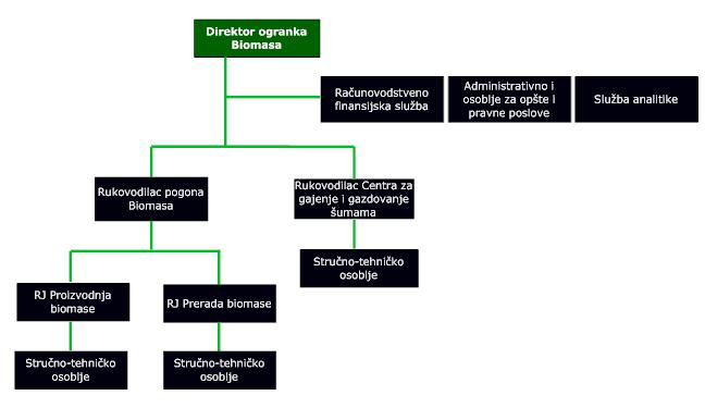 8.2. Опис послова и потребни ресурси организационе јединице ''Биомаса'' 8.2.1.