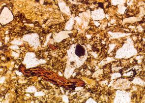 feldspati (ortoklas, mikroklin) su češdi u pješčenjacima od plagioklasa Mikroskopski izbrusak pješčenjaka bogatog alkalijskim feldspatima. Vidno polje 1,2x0,8 mm.