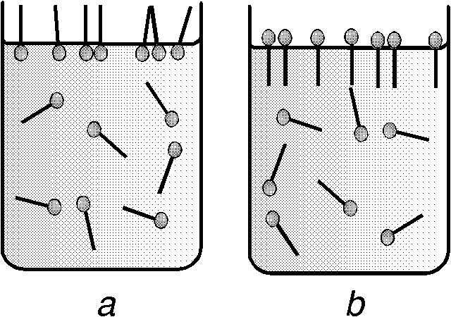 X.2. MOLEKULĀRĀ ADSORBCIJA 283 virsmā nostājas tā, ka to polārās (hidrofilās) daļas ir ūdenī, bet nepolārās (hidrofobās) ārpusē. X.3. att.