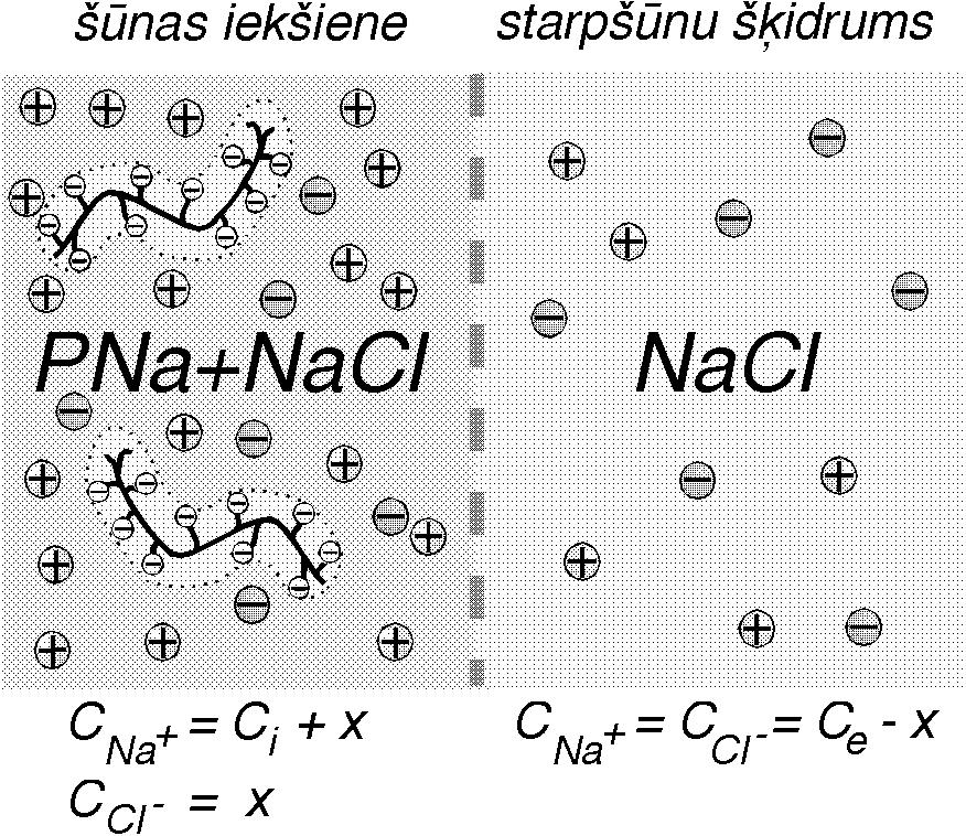 352 XI. DISPERSĀS SISTĒMAS Membrānas līdzsvarā vienādas ir nevis pašas difundētspējīgo jonu koncentrācijas abpus membrānai, bet gan to reizinājumi.