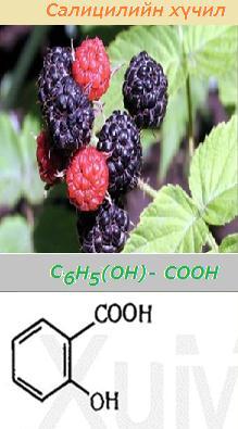 Салицилийн : Оксибензойны орто, мета, пара гэсэн 3 изомертэй. Орто изомерийг нь салицилийн гэнэ.