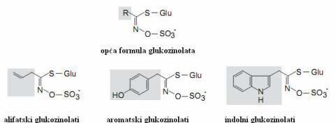 Маријана Буторовић Мастер рад Увод С обзиром на структуру бочног ланца глукозинолати се могу поделити на алифатске, ароматске и индолне глукозинолате (општа структура гликозинолата и њихова подела