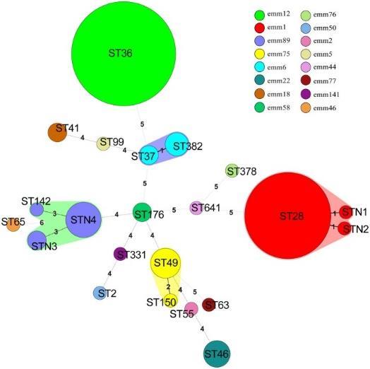 . High Prevalence of Macrolide-resistance and Molecular Characterization of Streptococcus