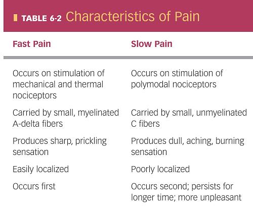 Нервни патеки за пренос на болните сигнали Пат на брза остра болка Пат на бавна хронична болка Брза акутна болка Најчесто механички и термички
